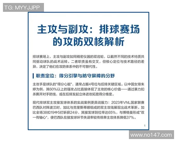 独家深度解析杭州排球队配合策略与战术优势的全面对比分析